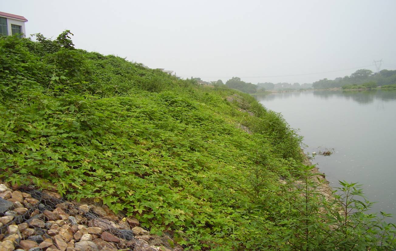河道石籠網(wǎng)怎么防護(hù)？